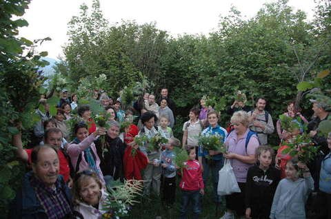 2514667_1_Valli_tra_Torre_e_Natisone_2011_i_partecipanti_con_il_mazzo_di_San_Giovanni.jpg