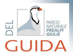 2_LOGO_GUIDA_RID.jpg