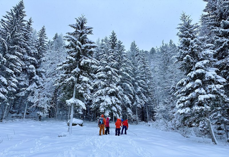 Artva_corso Sella Nevea01.jpg