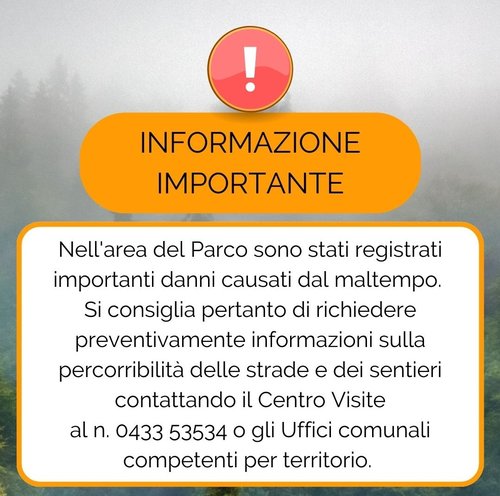 Avviso danni maltempo 19.07.2023.jpg