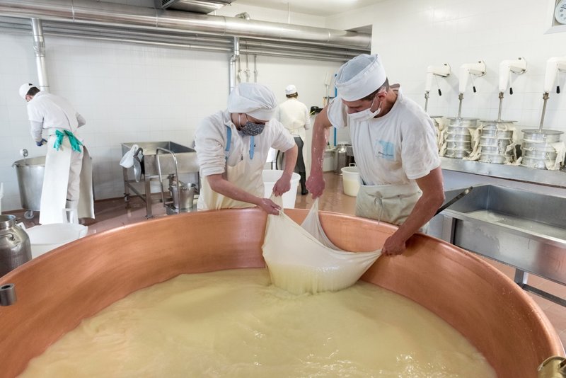 Casari al lavoro nella latteria turnaria di Campolessi_ph_Graziano Soravito