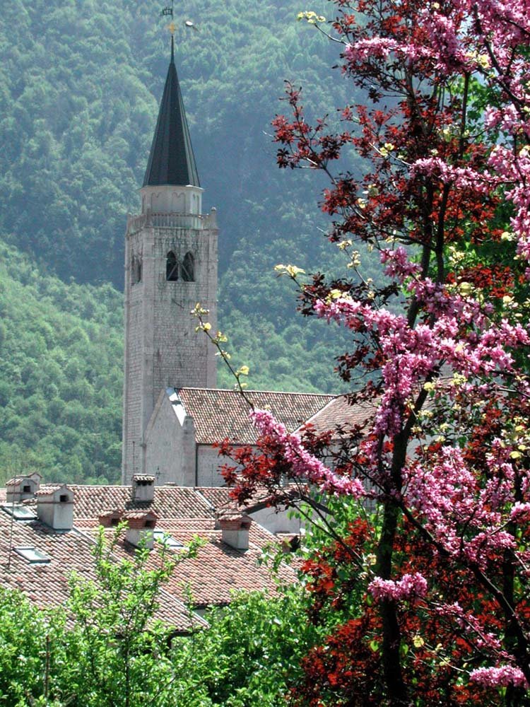 Il campanile del Duomo di Venzone