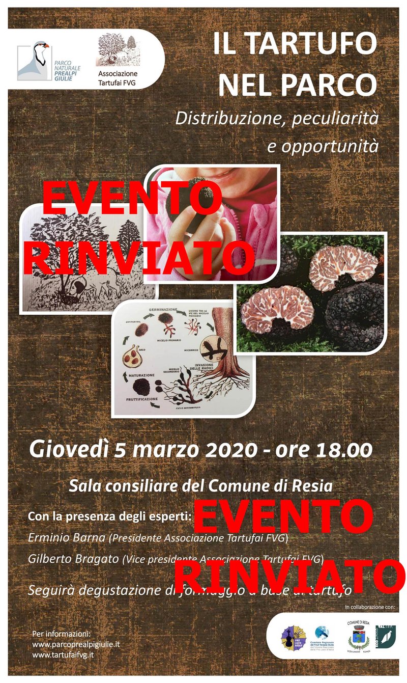 EV_Il_Tartufo.jpg