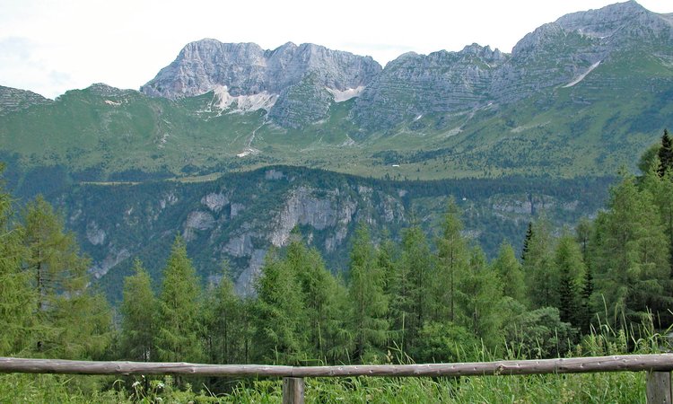 Panorama sul Montasio