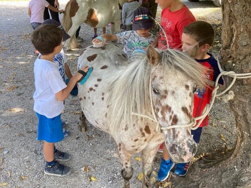 Il_cavallo_di_Pippicalzelunghe