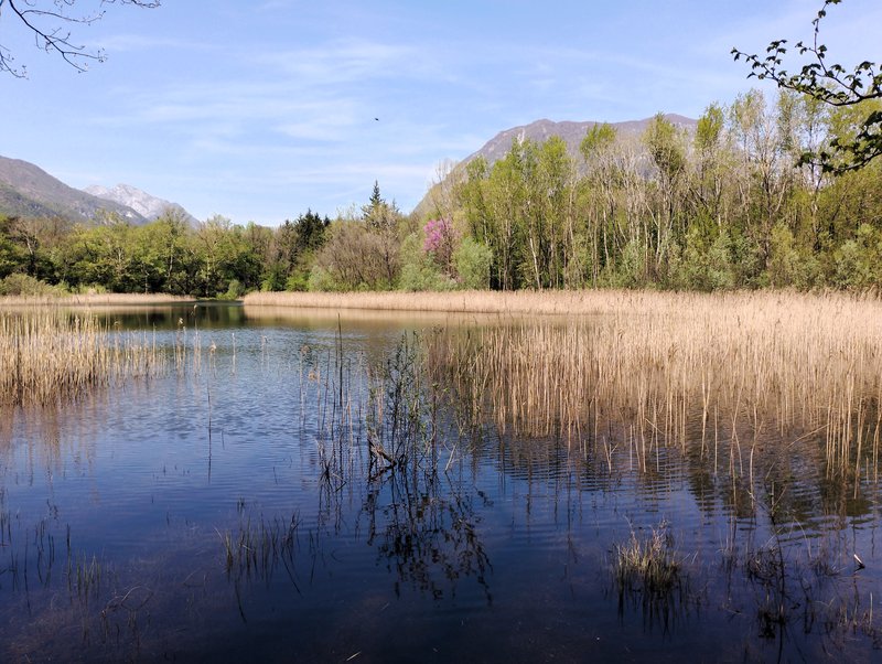 Lago Minisini_ph Gianpaolo Bragagnini