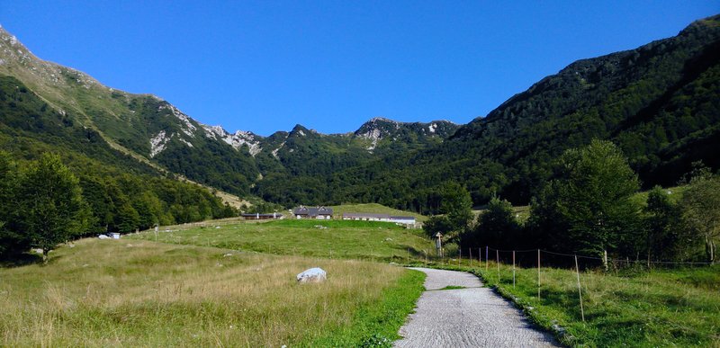 Malga_coot_2015.jpg