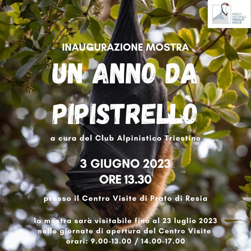 Mostra un anno da pipistrello 2023 (1).jpg
