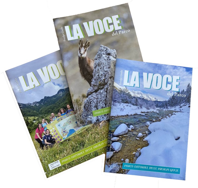 Notiziario La voce