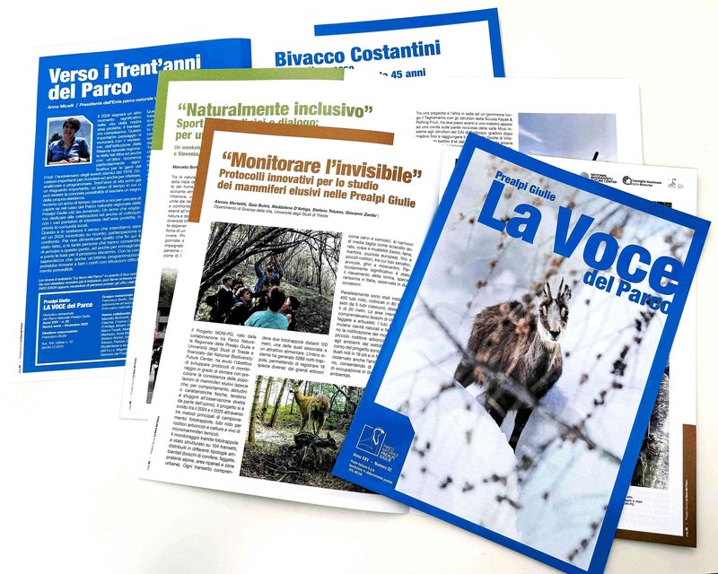 Notiziario n. 2-2025.jpg