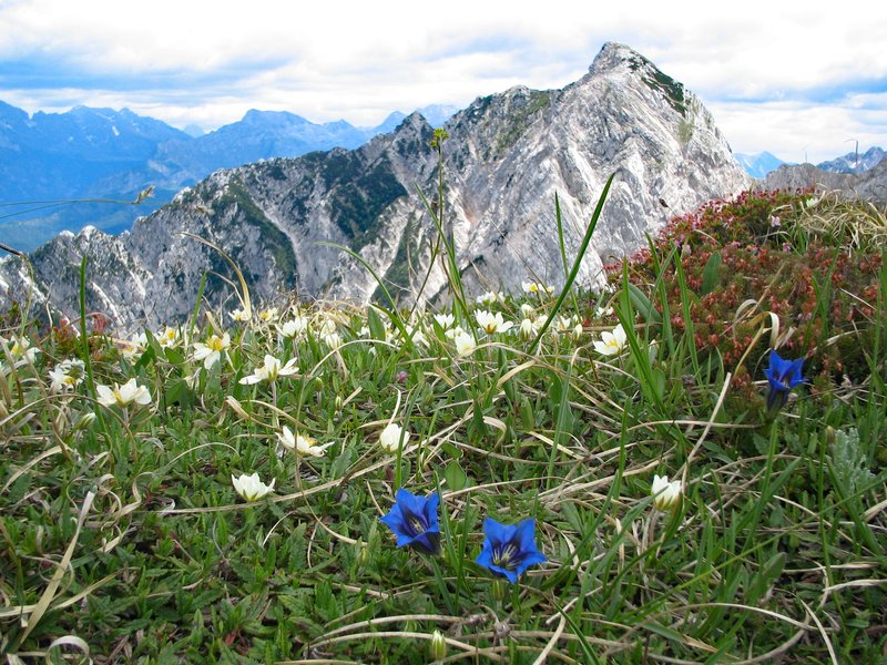 Panorama_Lavara_autore_foto_Marco_Di_Lenardo.jpg