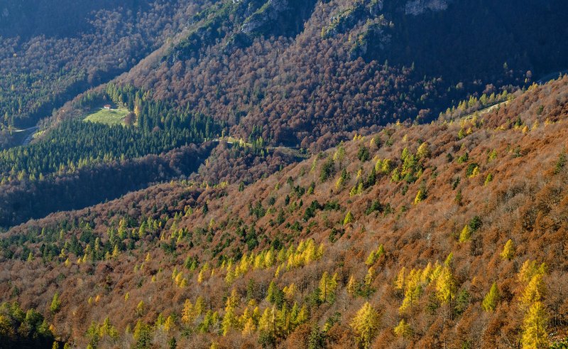Panorama_Val_Alba_Marco_Di_Lenardo.JPG