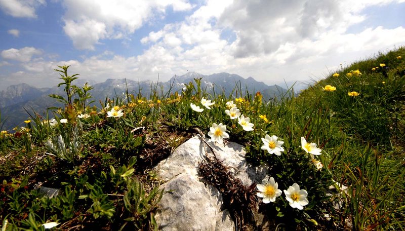 Panorama_dallo_Zajavor_Marco Di Lenardo.jpg