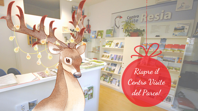 Riapertura_CV_Natale