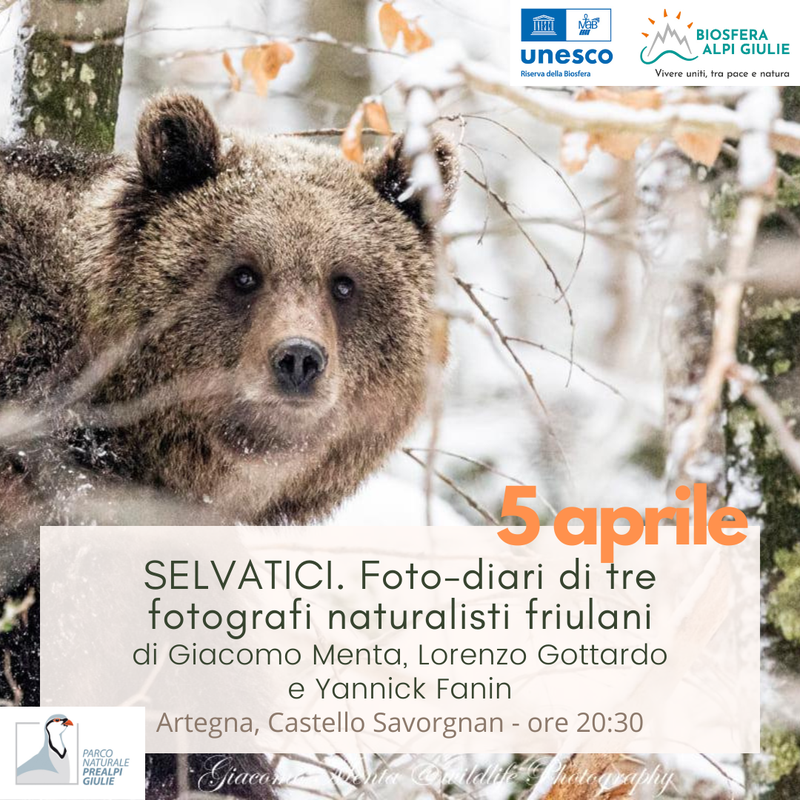 Selvatici 05-04-2024.png