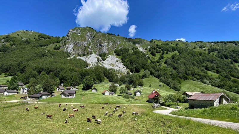 Stavoli Gnivizza_Sella_Carnizza.jpg