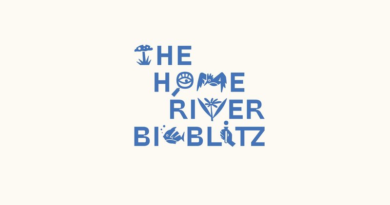 bioblitz