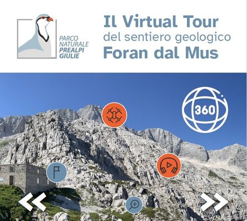 VIRTUAL TOUR.jpg