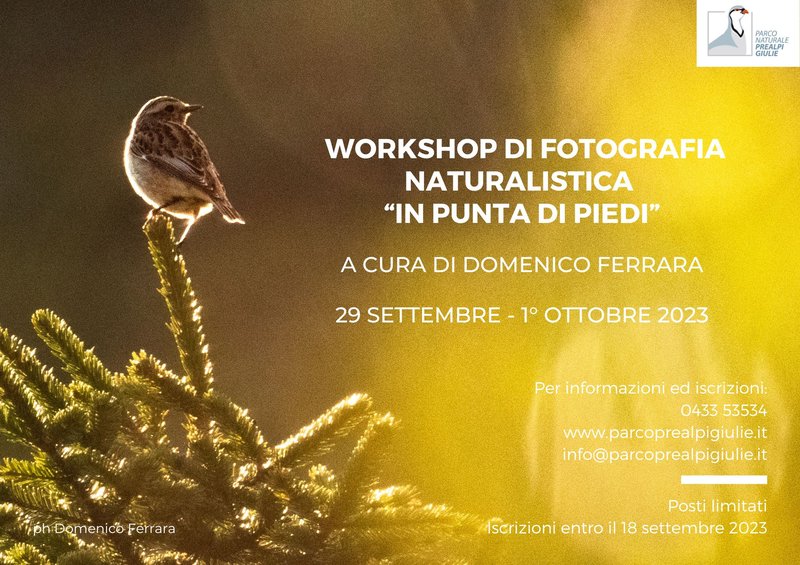 Workshop fotografico IN PUNTA DI PIEDI 2909-01102023 (6).jpg