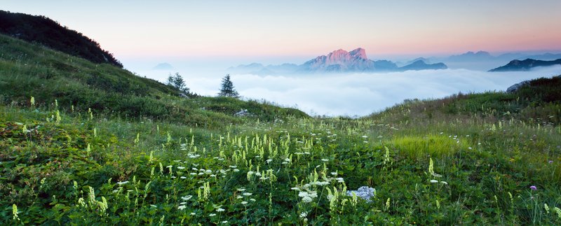 Panorama Val Alba