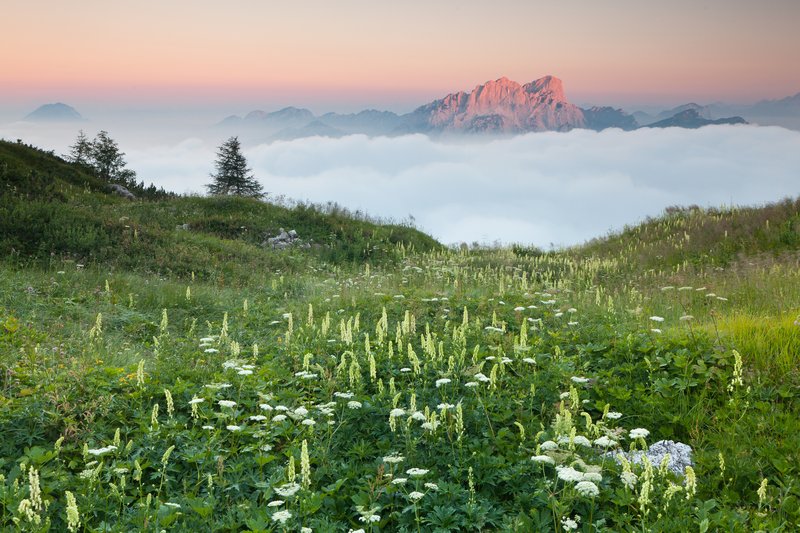 _MG_1388.jpg