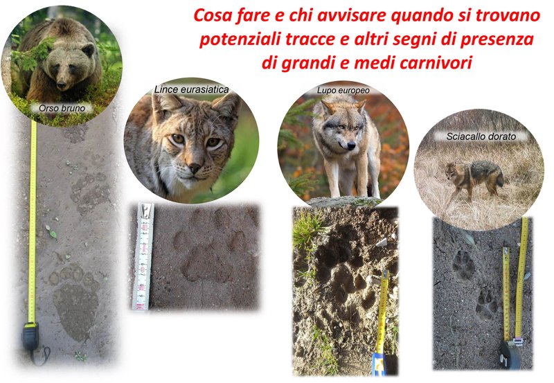 comunicazione_GC_escursionisti_apassionati_DEF_15sett2017-1.jpg