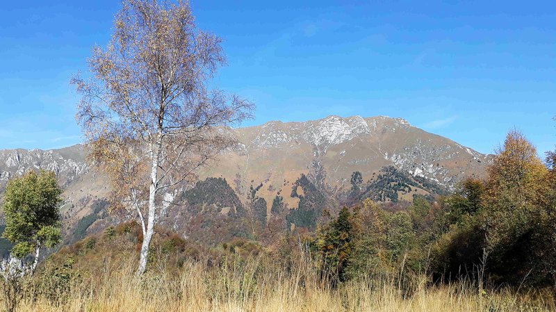 Taipana_Campo_di_Bonis_1