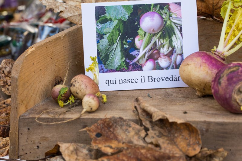 interno_brovedar.jpg