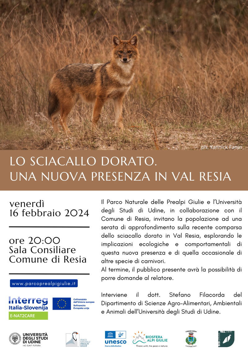 locandina Serata Sciacallo Resia 16 feb 2024 DEF.png