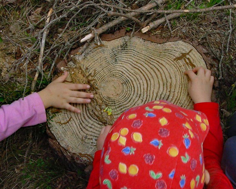 pedagogia_bosco.jpg