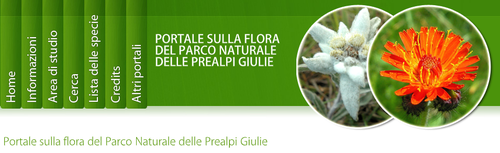 portale flora