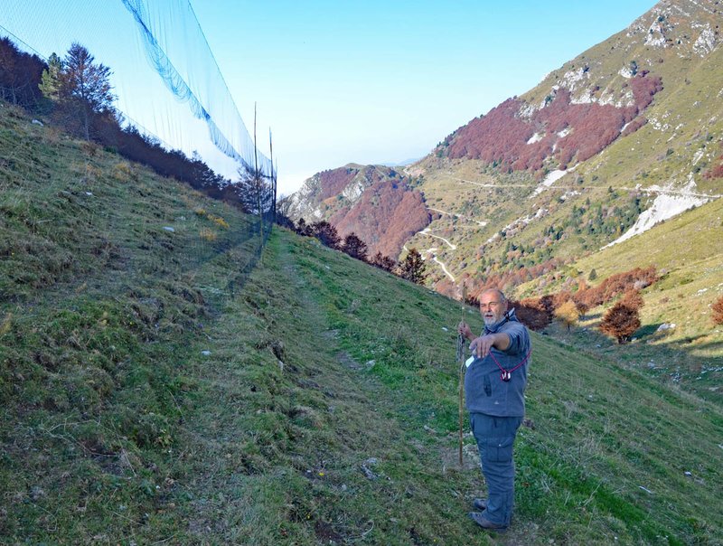 stazione_inanellamento_Malga_Confin_03.jpg